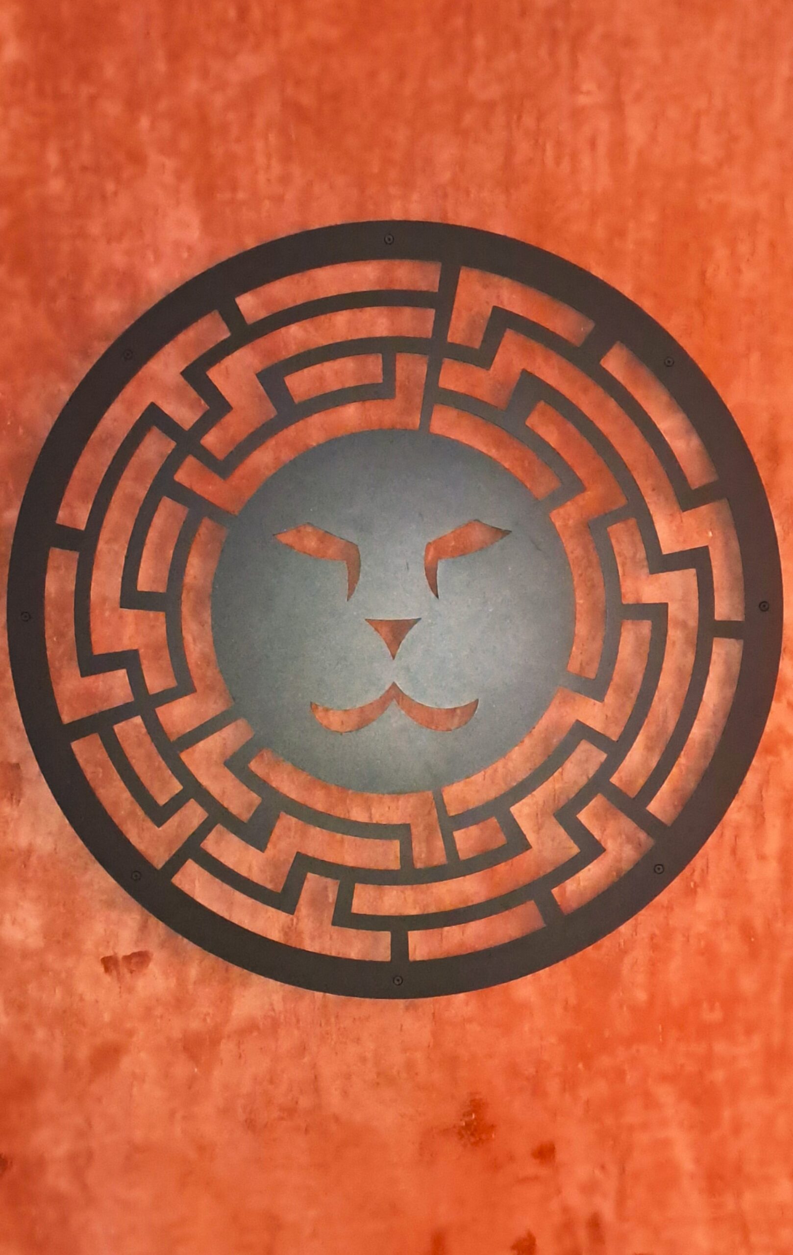 I VINI VULCANICI DEI TENIMENTI LEONE